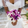 JEO Events